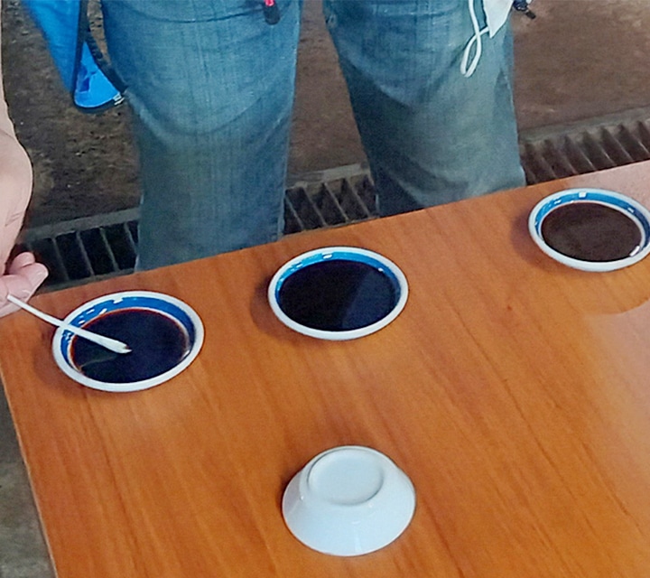 ヂガミイワ醤油の味比べ！